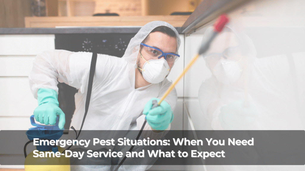 Emergency Pest Situations