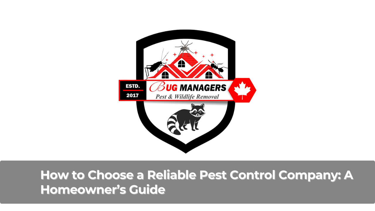 How to Choose a Reliable Pest Control Company A Homeowner’s Guide
