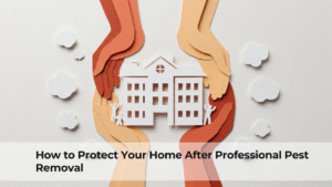 How to Protect Your Home After Professional Pest Removal
