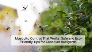 Mosquito Control That Works Safe and Eco-Friendly Tips for Canadian Backyards