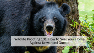 Wildlife Proofing 101 How to Seal Your Home Against Unwanted Guests