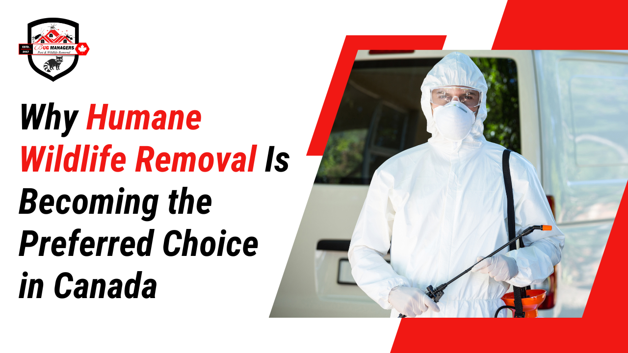 Why Humane Wildlife Removal Is Becoming the Preferred Choice in Canada