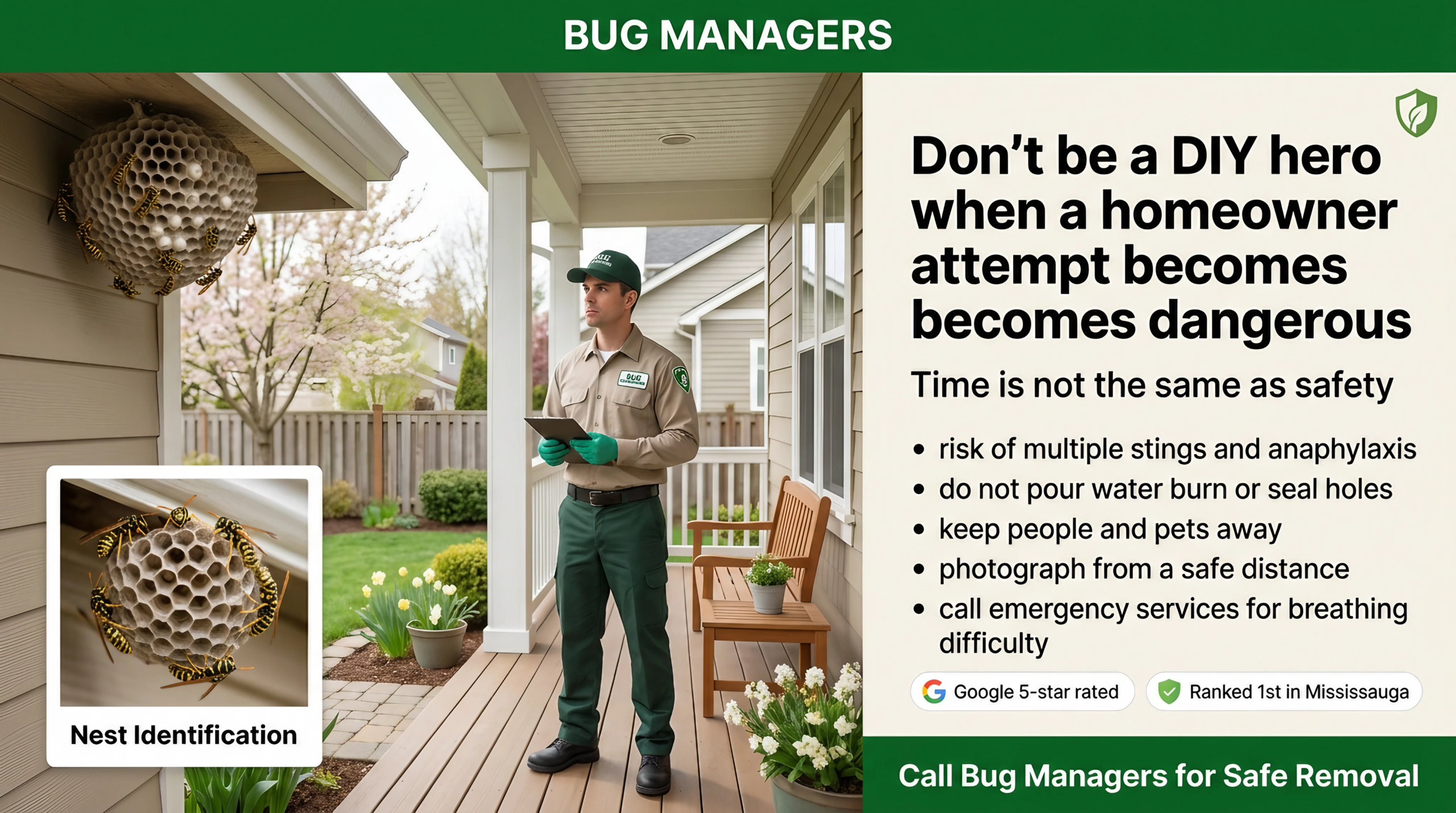 wasp safety guidelines