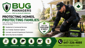 Bug Managers bed bug heat treatment setup in a modern bedroom, showing professional heating equipment and magnified bed bugs on a mattress, highlighting chemical-free, highly effective pest control for homes and condos in Toronto and the GTA.