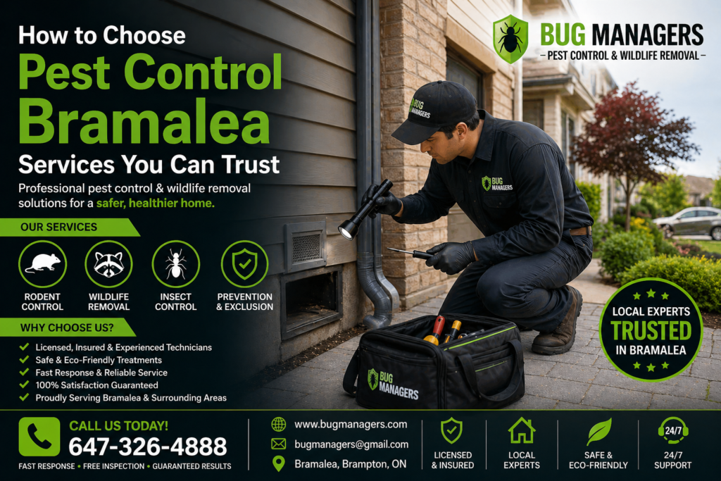 Pest control Bramalea technician inspecting home for rodents and wildlife entry points