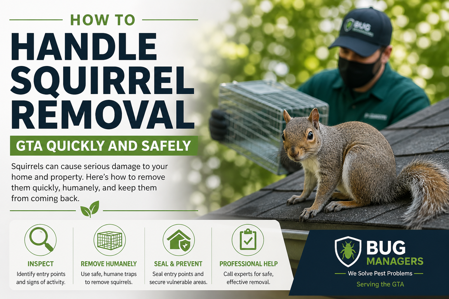 Squirrel on roof with pest control technician using humane trap for safe removal in GTA