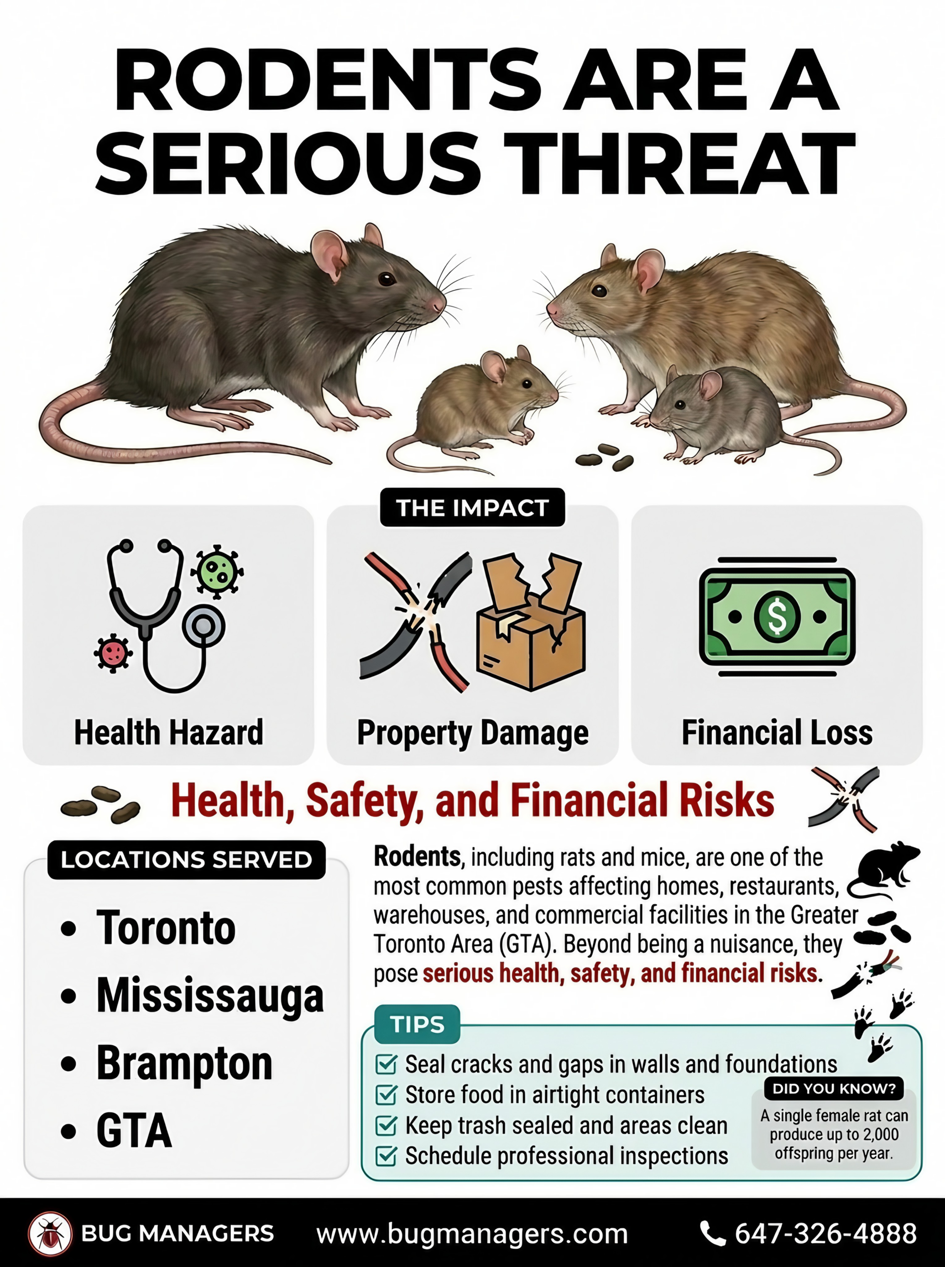 Rodents including rats and mice posing health, safety, and property risks in homes, restaurants, and warehouses in the GTA