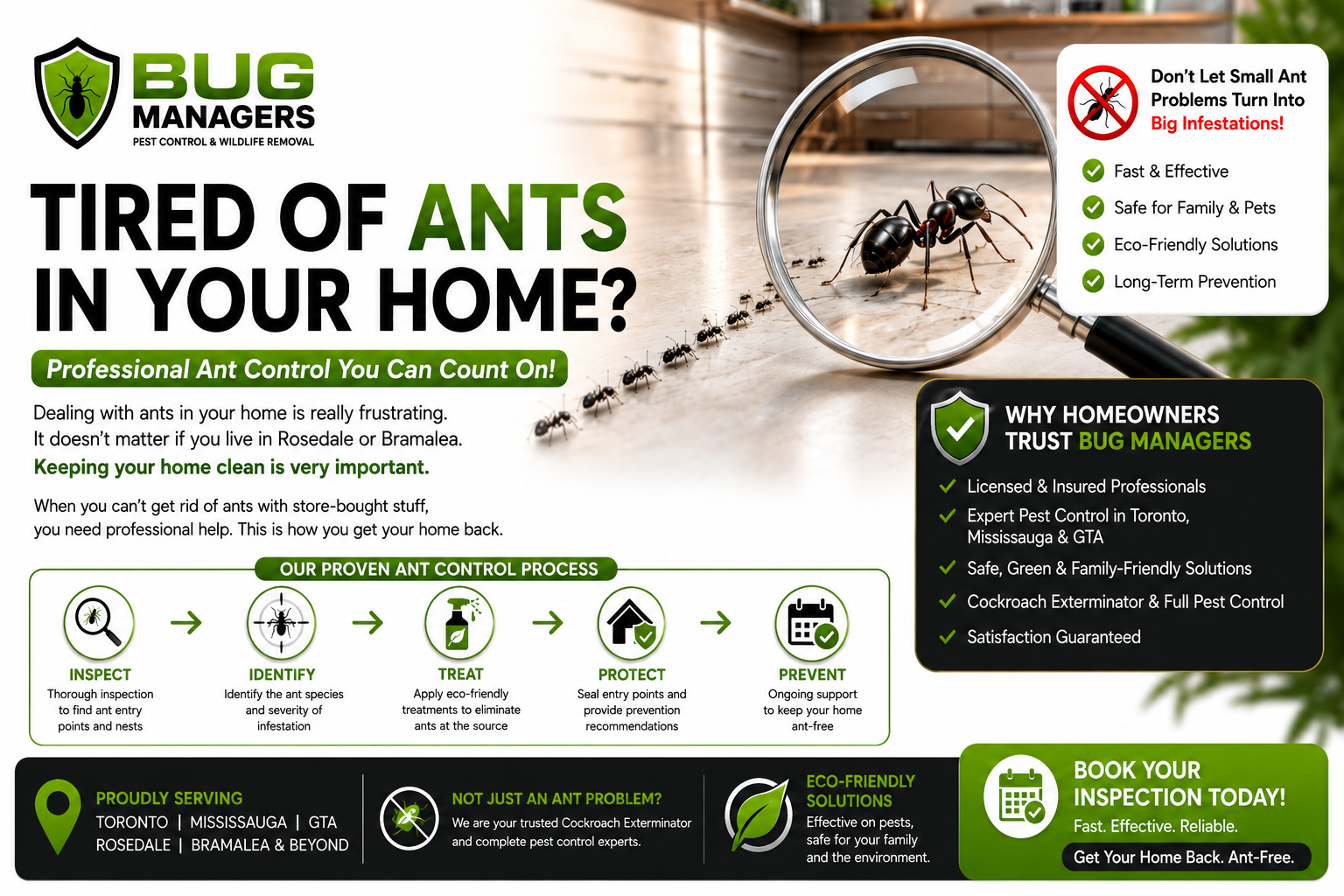 16:9 ant control infographic banner showing Bug Managers pest control process with inspection, identification, treatment, protection, and prevention icons connected by arrows, alongside realistic ants under a magnifying glass in a modern kitchen.