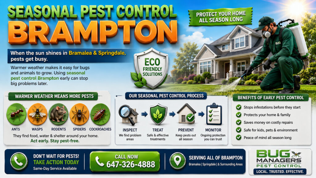 Educational seasonal pest control infographic showing a licensed technician treating a modern Brampton home with 3D icons of ants, wasps, rodents, spiders, and cockroaches. Clean infographic layout highlights early pest prevention and eco-friendly pest control solutions.