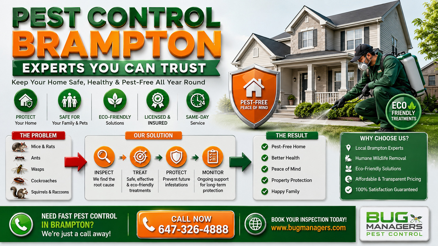 Professional pest control infographic showing a licensed technician treating a modern Brampton home with 3D icons for mice, ants, wasps, cockroaches, and wildlife removal. Clean eco-friendly design with pest prevention steps and home protection graphics.