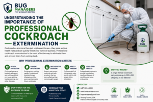 Infographic showing a pest control technician treating cockroaches in a kitchen, explaining the importance of professional cockroach extermination with key benefits and Bug Managers contact details.
