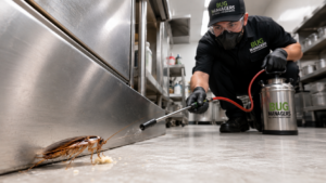 Bug Managers pest control technician inspecting and treating a commercial kitchen for cockroach activity as part of an Integrated Pest Management (IPM) program to help prevent pest harbourage and support Ontario Health inspection compliance.