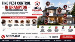 Bug Managers pest control in Brampton offering professional pest and wildlife removal services