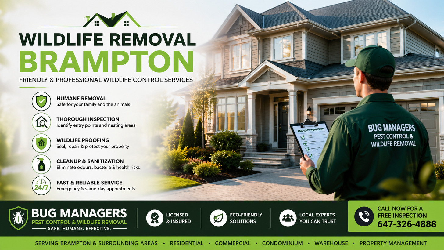 Professional wildlife removal services in Brampton featuring a licensed Bug Managers technician inspecting a modern Canadian home for raccoons, squirrels, birds, and attic wildlife using humane removal, eco-friendly Integrated Pest Management (IPM), and long-term wildlife exclusion solutions.